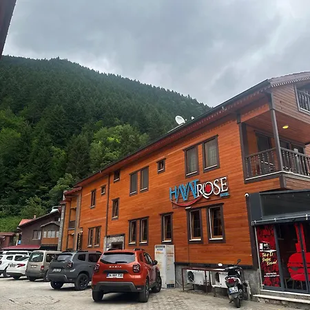 Hotel Hayat Rose